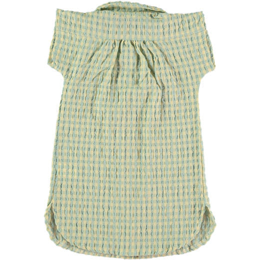 Picnik dresses Picnik Green Gingham Shirt Dress