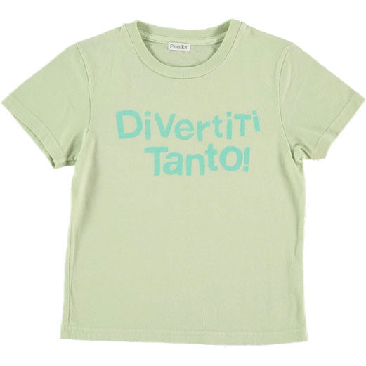Picnik tees Picnik Mint Diversity Joan Tee
