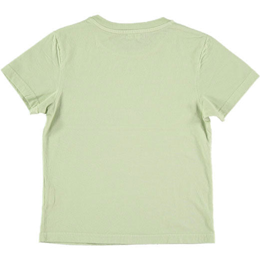 Picnik tees Picnik Mint Diversity Joan Tee