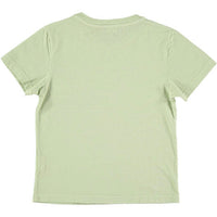 Picnik tees Picnik Mint Diversity Joan Tee