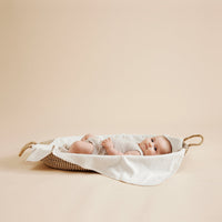 Wilson and Frenchy bodysuits Wilson and Frenchy Clay Clay Organic Pointelle